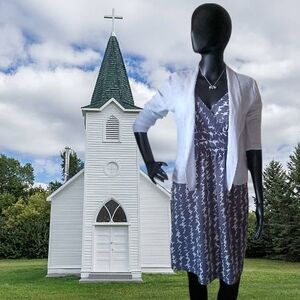 Ann Taylor Petites Silk Dress, Cynthia Rowley Cardigan Outfit, Size 4p, Small